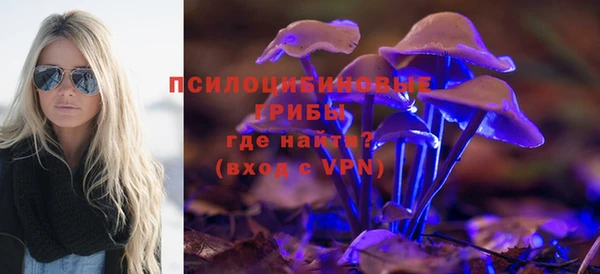 твердый Арсеньев