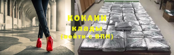 твердый Арсеньев