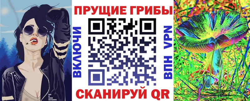 Псилоцибиновые грибы Cubensis  где продают наркотики  Тарко-Сале 